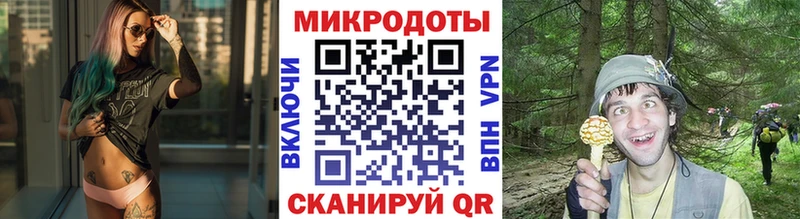 Купить где  Ужур  Псилоцибиновые грибы мицелий 